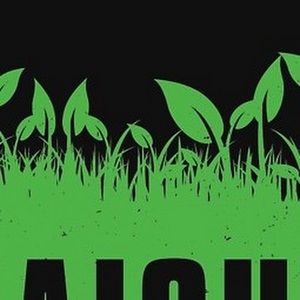 Meet your Posher, Comed